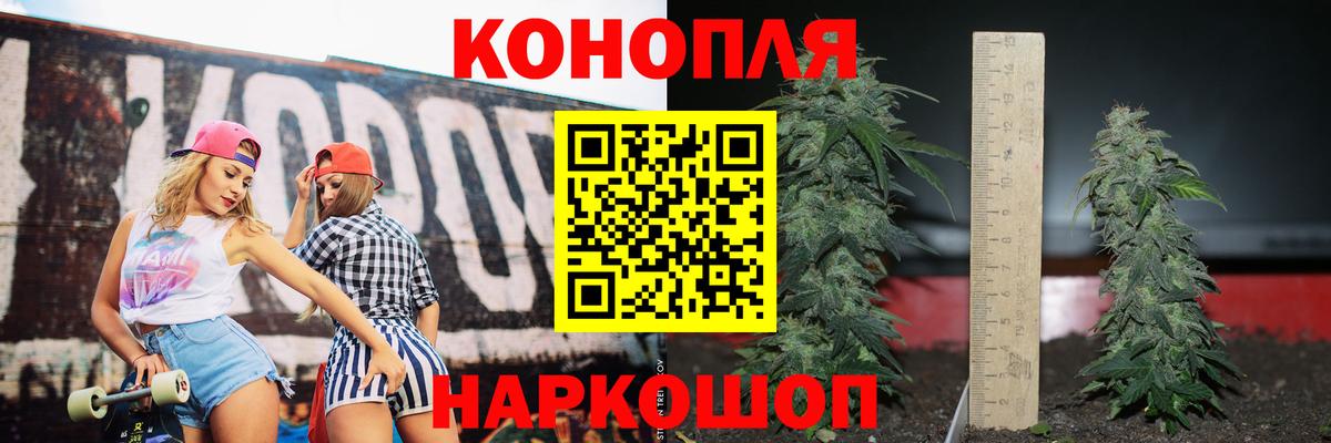 Бошки Шишки THC 21%  Конопля гибрид  Вход с VPN  Кулебаки  Конопля тримм 
